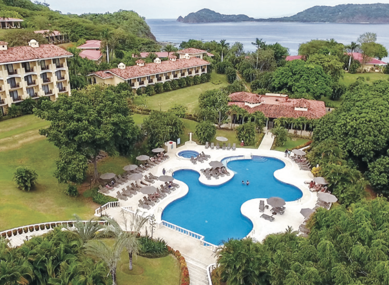 occidental papagayo occidental papagayo